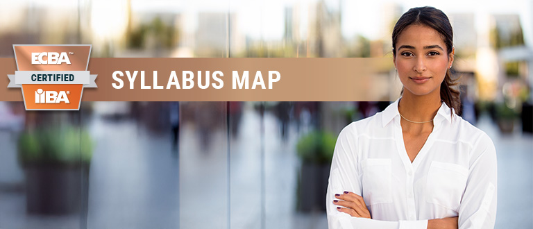 Business Analysis Body of Knowledge (BABOK®) Guide 